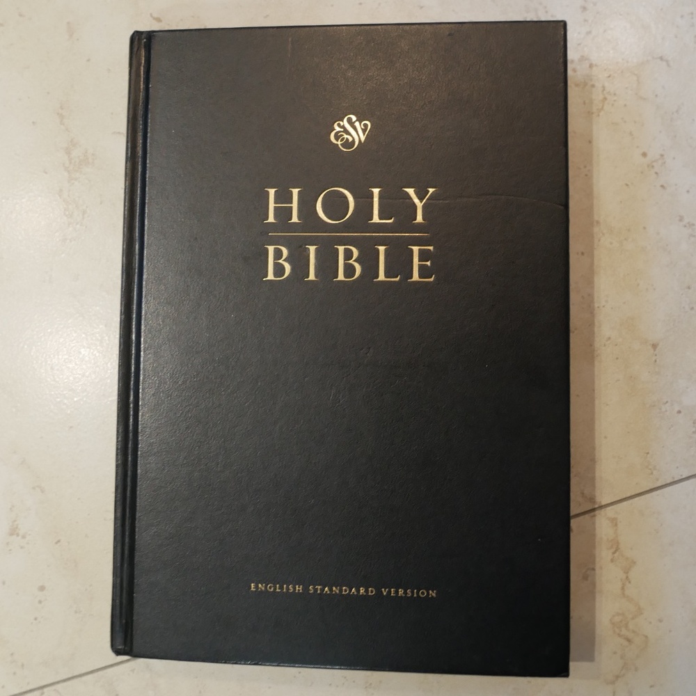 ESV Pew and Worship Edition Large Print Bible~